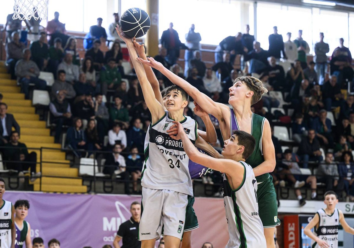 El Unicaja vence al Joventut y se medirá al Barcelona en las